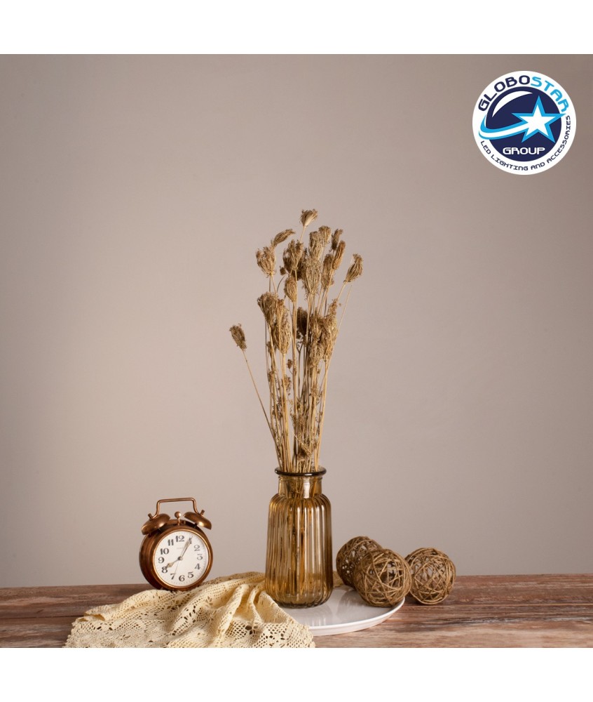 GloboStar® WILDCARROT 36546 Αποξηραμένο Φυτό Άγριο Καρότο - Μπουκέτο Διακοσμητικών Κλαδιών Μπεζ Υ60cm - Σετ 10 τμχ